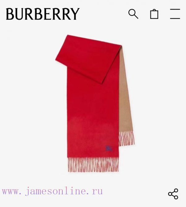 𝐁𝐔𝐑𝐁𝐄𝐑𝐑𝐘 Double sided solid color embroidered long scarf official website synchronized new ️j98i9q0k - Image 10