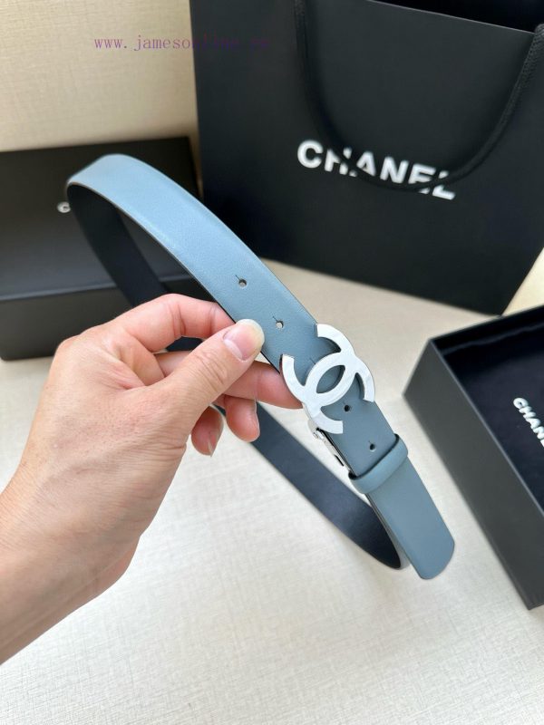 Width 3.0cm CHANEL Rotating Double C Calfskin and Silver Gun Gold Metal Belt Multi Color Wom rwq30h9f