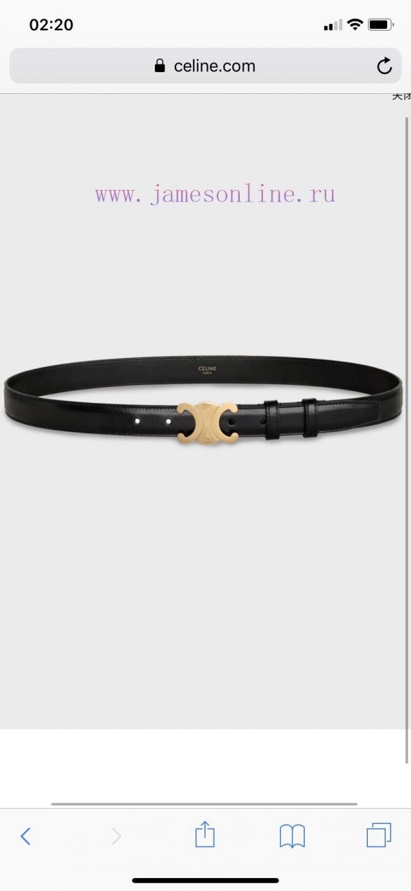 MADE IN ITALY[Gift] Comes with a complete set[Gift] Celine[Gift] Buckle Material Premium Sol nz024dt9