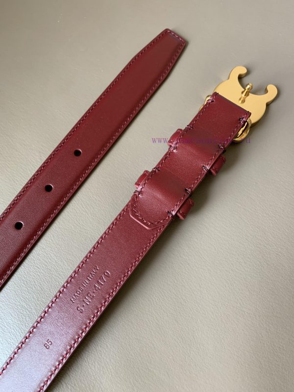MADE IN ITALY[Gift] Comes with a complete set[Gift] Celine[Gift] Buckle Material Premium Sol htwpls4n - Image 5