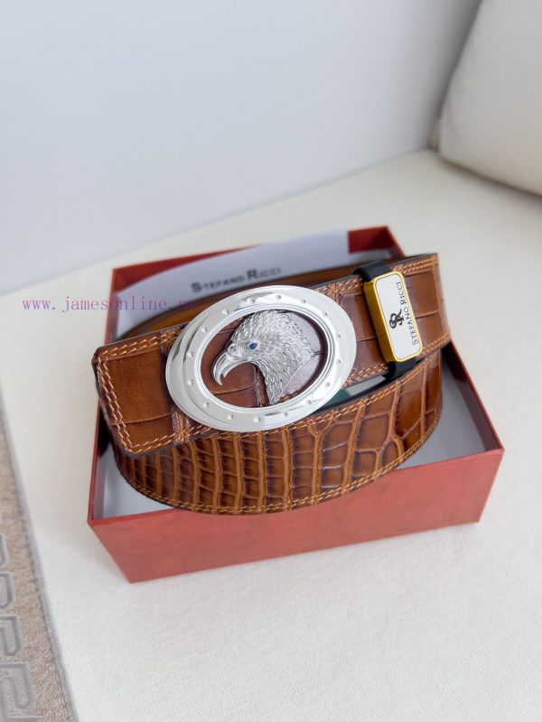 Stephen Ni Zhi Stefano Ricci Belt ️ BeltHanging buckle, made of pure steel material with dia 12y20dqw