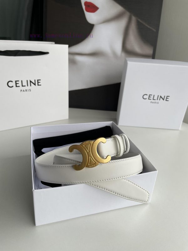 CELINE Triumphal Arch logo gold buckle trendy belt, the secret weapon for wearing a good fig 3eo731f5 - Image 6